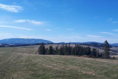 Przytulny Apartamentt