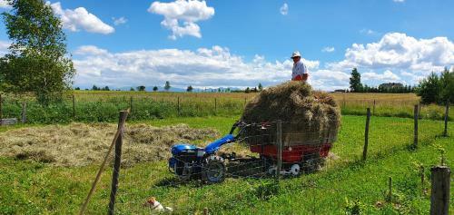 Agroturystyka Na S?onecznej Orawie U Dzikich