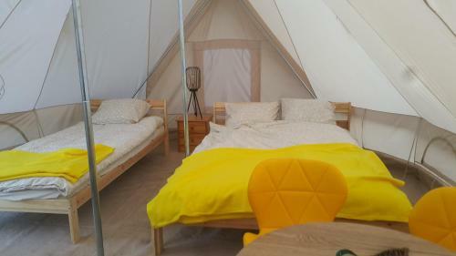 Glamping Z Alpakami