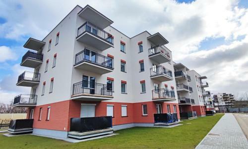 Central Apartment