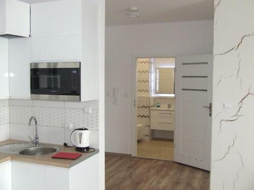 Apartament Nad I?awk? Max