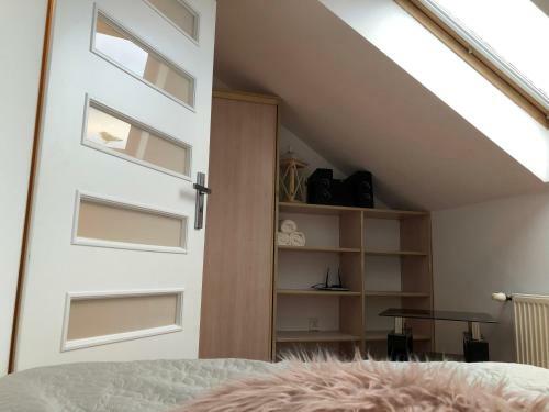 Apartament I?awa