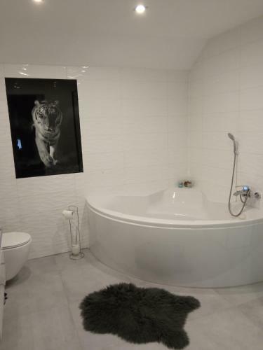 Apartamento Przy Jeziorze