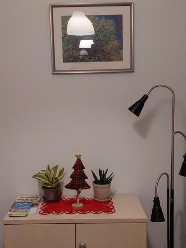 Apartament Jedlinka