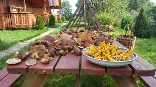Lodge Kanzas