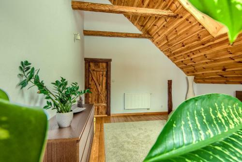 Villa Siedlisko Bor�wkowo