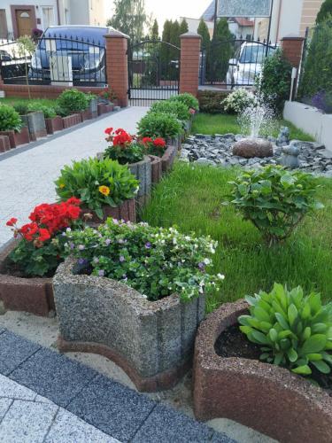 Apartament Konik Morski