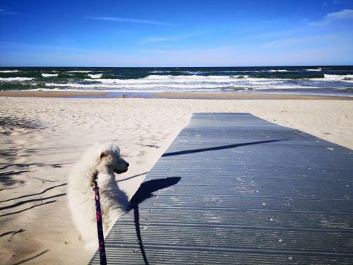 Pokoje U Rybaka