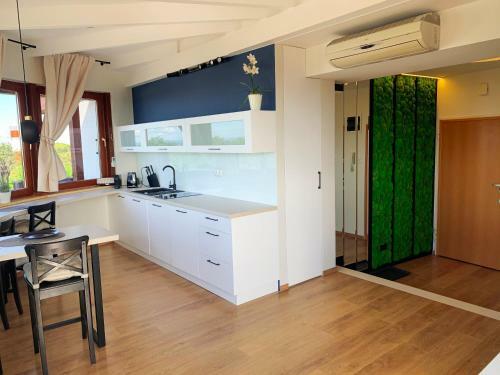 Dom Zdrojowy Apartament "widokowy"