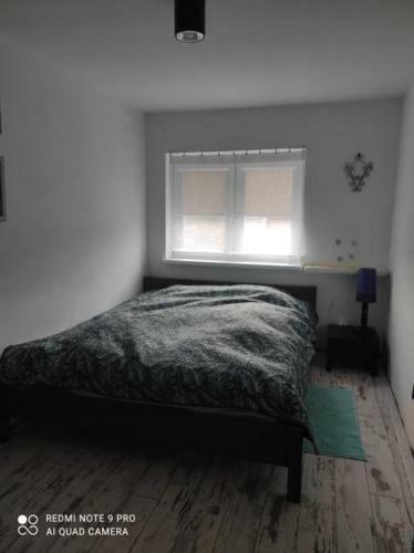 Apartament U Bena