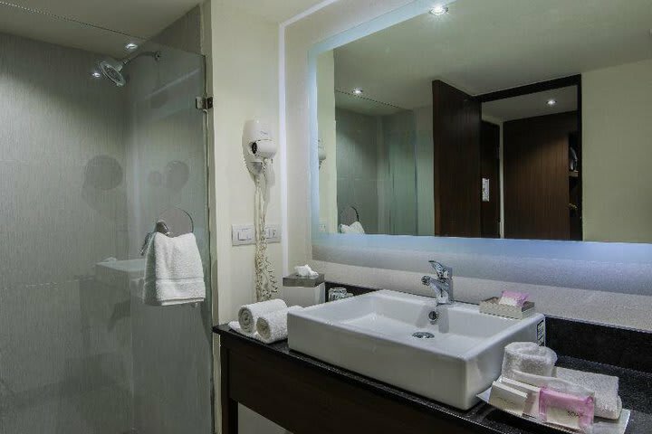 Hotel Holiday Inn Guadalajara Expo