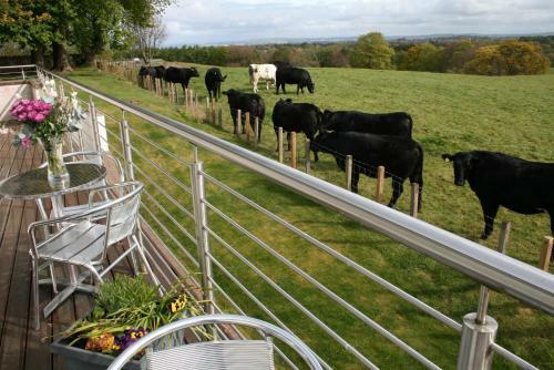 Ayrs And Graces - Luxury Bed And Breakfast