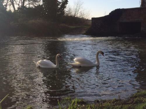 Hostal Sculthorpe Mill