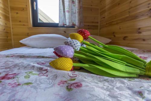 Lodge Domki Morskie Tarasy