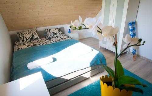 Lodge Domki Reston