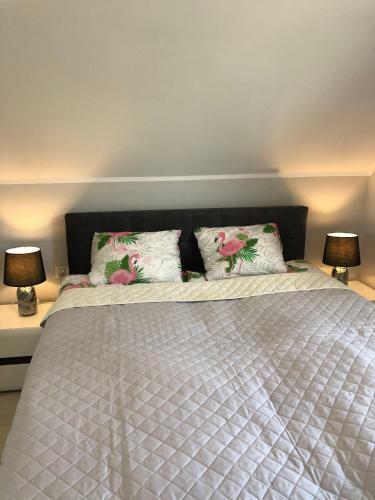Domki Apartamentowe Na Wrzosach