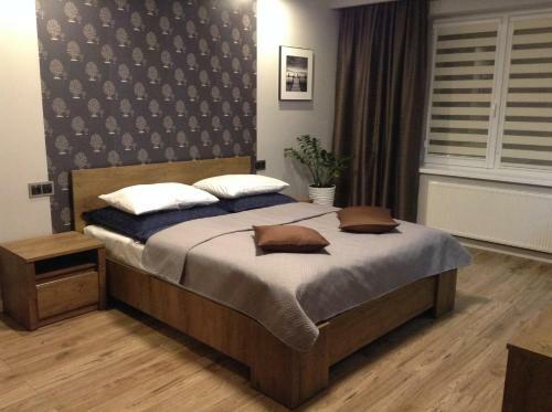 Apartament Studencka
