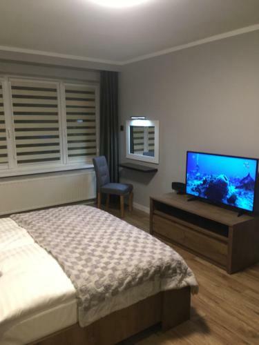 Apartament Studencka