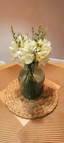 Apartament Podwale