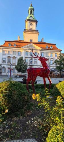 Apartament Jelenia G�ra Hirschberg Pp