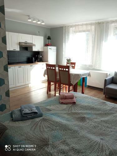 Apartament Przy T??niach