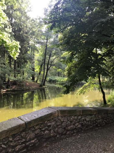 Apartament C18