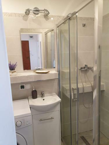 Apartamento Pokoje Go?cinne Uzdrovisco Cieplice