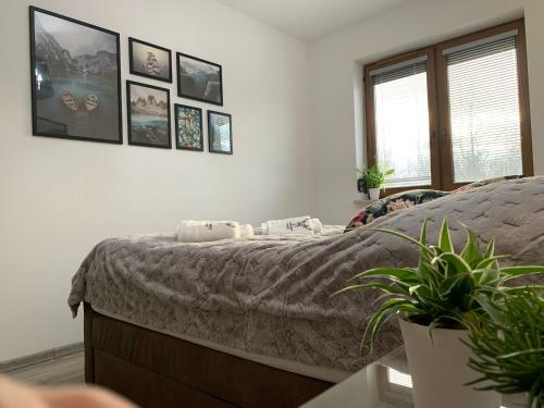 Apartament Jelonek 2.0 + Garage