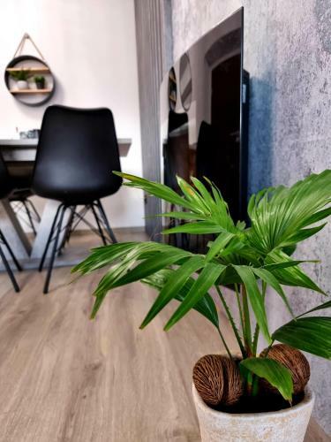 Apartament Jelonek 2.0 + Garage