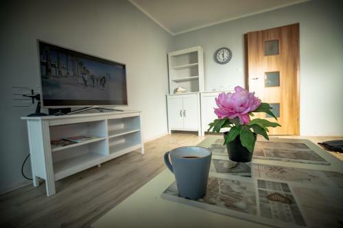 Jdk Apartamenty Kalisz Podmiejska