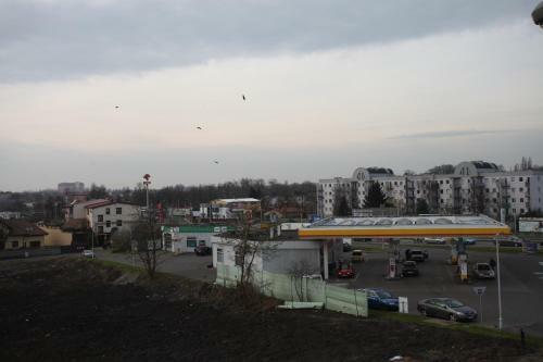 Apartament Rodzinny S7