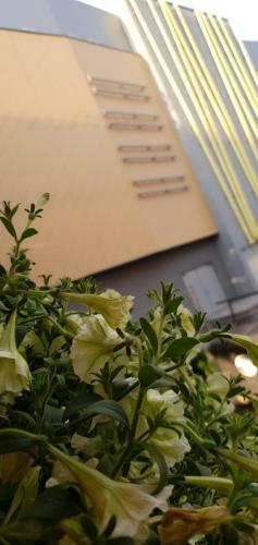 Apartament Nowy Rynek