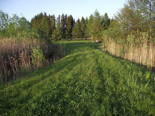 Apartament Alina
