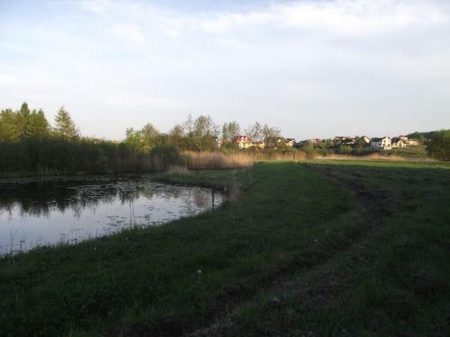 Apartament Alina