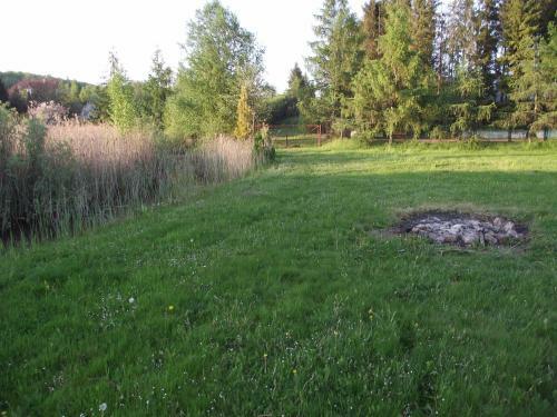 Apartament Alina