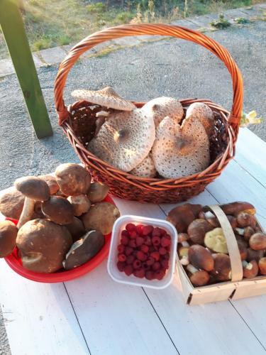 Kaszubskie Marzenie