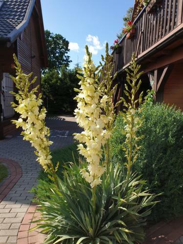 Lodge Pensjonat Na Zaciszu