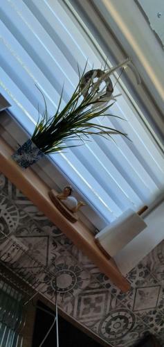 Karwia Plaza - Apartaments