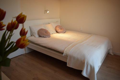 Domki Apartamentowe Italia