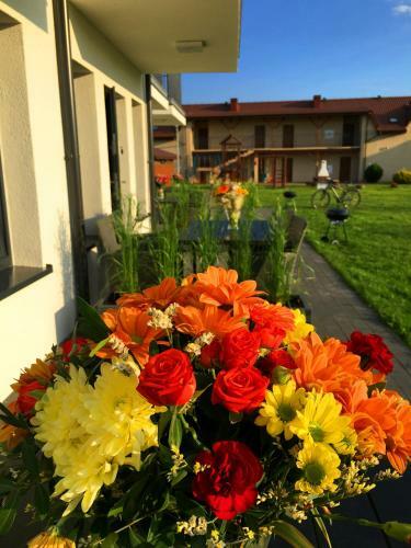 Domki Apartamentowe Italia