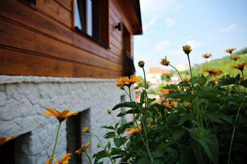 Apartamento Sielsko-anielsko Centrum