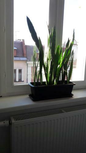 Apartamento Przystanek Katowice Mariacka 26
