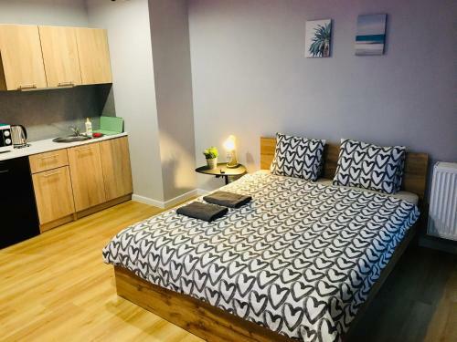 Holdek Apartamenty Ceglana