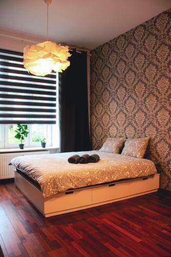 Apartament Kattowitz