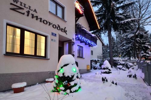 Apartamento Zimorodek