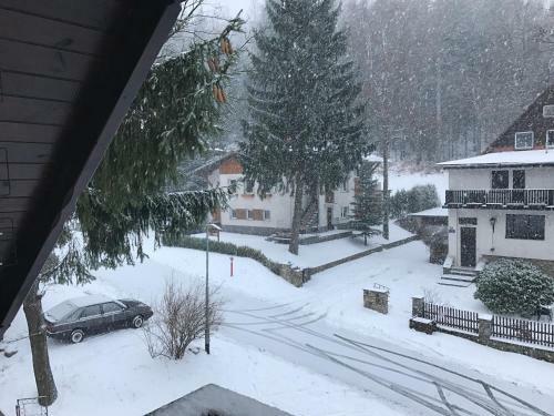 Apartamento Zimorodek