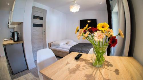 Apartamenty Karkonoskie