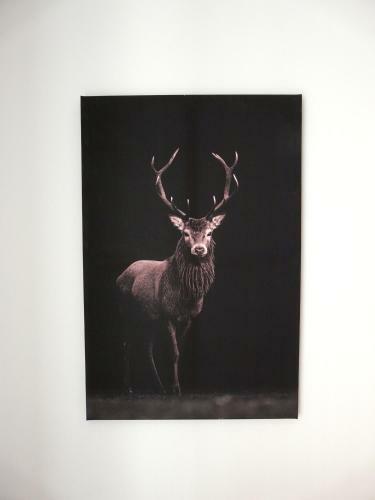 Apartamenty U Pi?tk�w