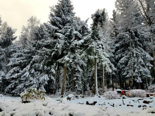 Apartamento Willa G�ralka