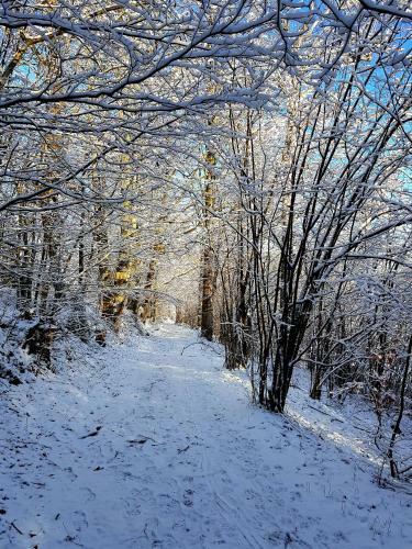 Apartamento Willa G�ralka